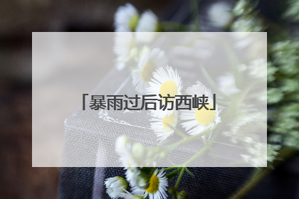 暴雨过后访西峡