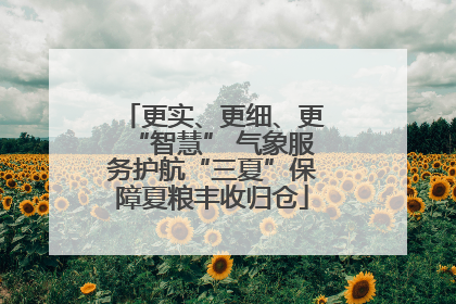 更实、更细、更“智慧” 气象服务护航“三夏”保障夏粮丰收归仓
