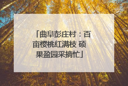 曲阜彭庄村：百亩樱桃红满枝 硕果盈园采摘忙