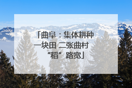 曲阜：集体耕种一块田 二张曲村“稻”路宽