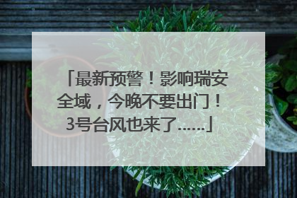 最新预警！影响瑞安全域，今晚不要出门！3号台风也来了……