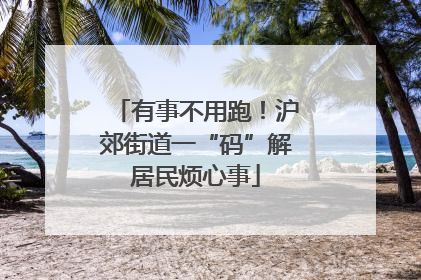 有事不用跑！沪郊街道一“码”解居民烦心事