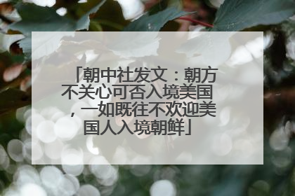 朝中社发文：朝方不关心可否入境美国，一如既往不欢迎美国人入境朝鲜