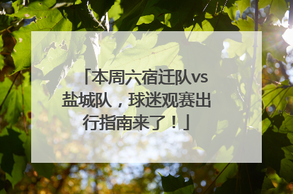 本周六宿迁队vs盐城队，球迷观赛出行指南来了！