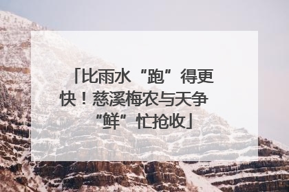 比雨水“跑”得更快！慈溪梅农与天争“鲜”忙抢收