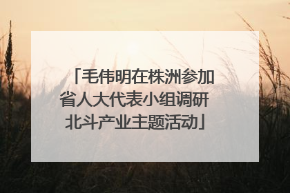 毛伟明在株洲参加省人大代表小组调研北斗产业主题活动