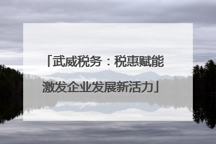 武威税务：税惠赋能 激发企业发展新活力