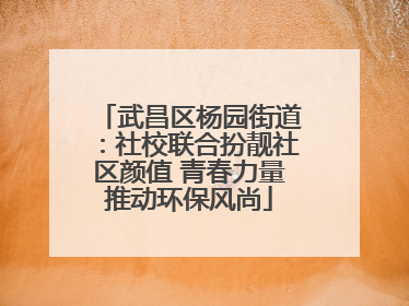 武昌区杨园街道：社校联合扮靓社区颜值 青春力量推动环保风尚