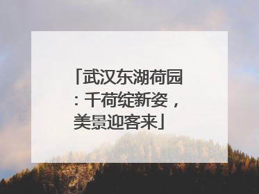 武汉东湖荷园：千荷绽新姿，美景迎客来