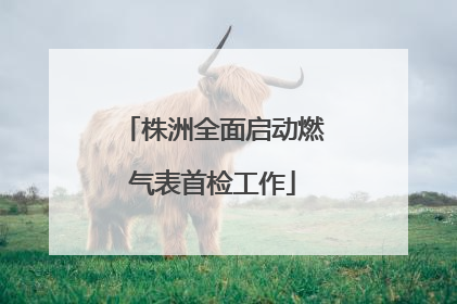 株洲全面启动燃气表首检工作