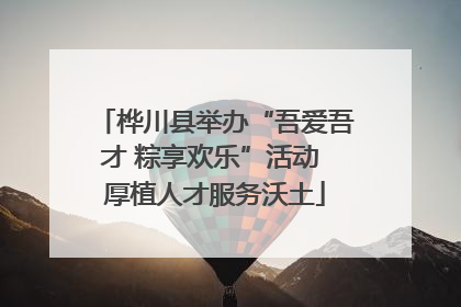 桦川县举办“吾爱吾才 粽享欢乐”活动 厚植人才服务沃土