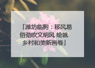 潍坊临朐：移风易俗劲吹文明风 绘就乡村和美新画卷