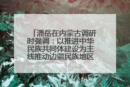 潘岳在内蒙古调研时强调：以推进中华民族共同体建设为主线推动边疆民族地区高质量发展
