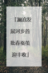 澜沧发展河乡首批春蚕茧迎丰收