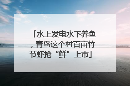 水上发电水下养鱼，青岛这个村百亩竹节虾抢“鲜”上市