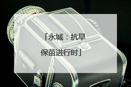 永城：抗旱保苗进行时