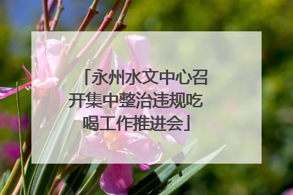 永州水文中心召开集中整治违规吃喝工作推进会