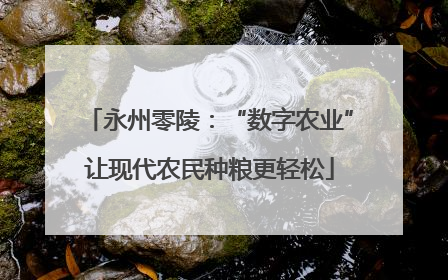 永州零陵：“数字农业”让现代农民种粮更轻松