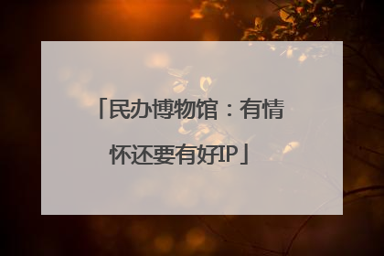 民办博物馆：有情怀还要有好IP