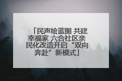 民声绘蓝图 共建幸福家 六合社区亲民化改造开启“双向奔赴”新模式
