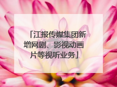 江报传媒集团新增网剧、影视动画片等视听业务