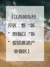 江苏如东经开区：惟“新”图强以“新”提质推进产业强区