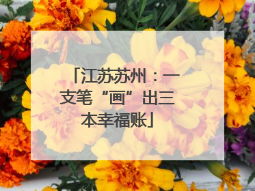 江苏苏州：一支笔“画”出三本幸福账
