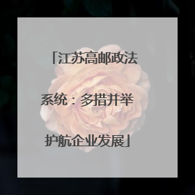 江苏高邮政法系统：多措并举护航企业发展