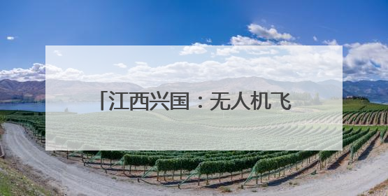 江西兴国：无人机飞防“蓝色盾牌” 烟田筑起“绿色防火墙”
