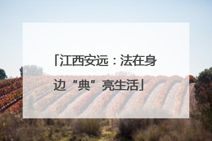 江西安远：法在身边“典”亮生活