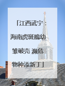 江西武宁：海南虎斑鳽幼雏破壳 濒危物种添新丁