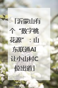 沂蒙山有个“数字桃花源”：山东联通AI让小山村C位出道