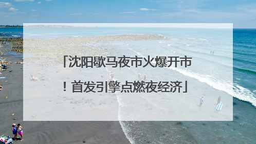 沈阳歇马夜市火爆开市！首发引擎点燃夜经济
