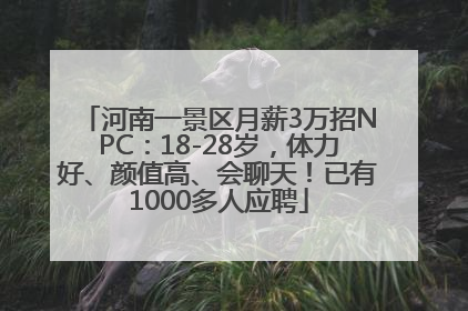 河南一景区月薪3万招NPC：18-28岁，体力好、颜值高、会聊天！已有1000多人应聘
