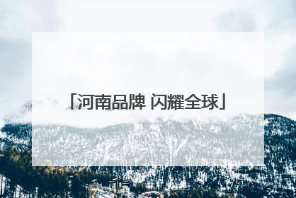 河南品牌 闪耀全球