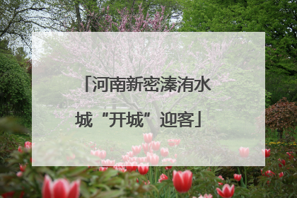 河南新密溱洧水城“开城”迎客
