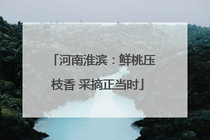 河南淮滨：鲜桃压枝香 采摘正当时