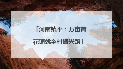 河南镇平：万亩荷花铺就乡村振兴路