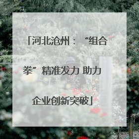 河北沧州：“组合拳”精准发力 助力企业创新突破