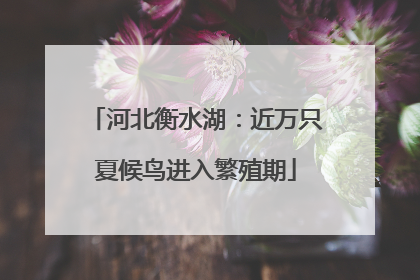 河北衡水湖：近万只夏候鸟进入繁殖期