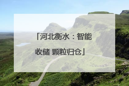 河北衡水：智能收储 颗粒归仓