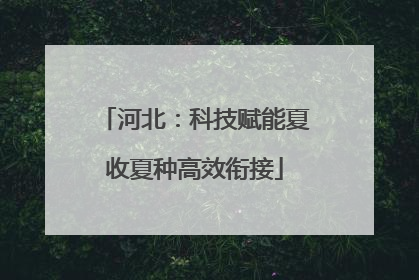 河北：科技赋能夏收夏种高效衔接