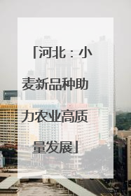 河北：小麦新品种助力农业高质量发展