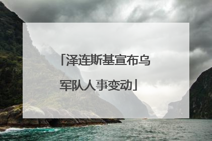 泽连斯基宣布乌军队人事变动