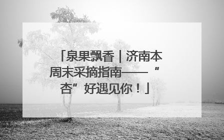 泉果飘香｜济南本周末采摘指南——“杏”好遇见你！