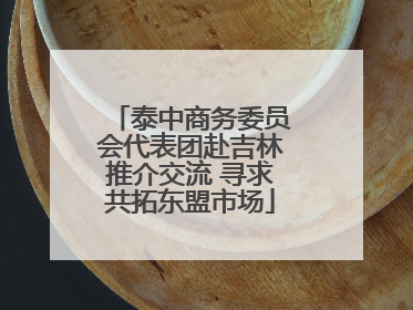 泰中商务委员会代表团赴吉林推介交流 寻求共拓东盟市场