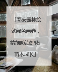 泰安园林绘就绿色画卷，精细防治护佑苗木成长