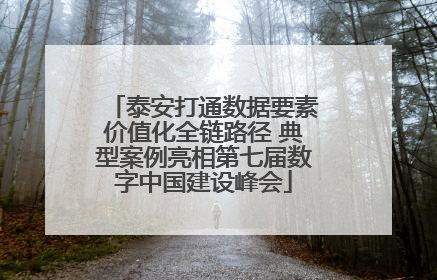 泰安打通数据要素价值化全链路径 典型案例亮相第七届数字中国建设峰会