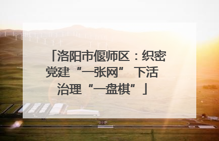 洛阳市偃师区：织密党建“一张网” 下活治理“一盘棋”