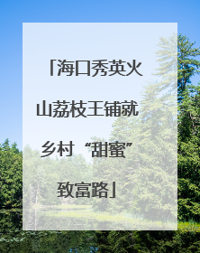 海口秀英火山荔枝王铺就乡村“甜蜜”致富路